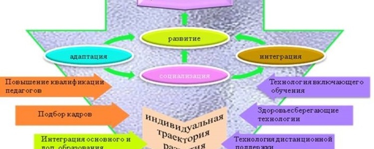 Всероссийский научно-практический вебинар «Модели организации образования обучающихся с РАС», 14 декабря 2018